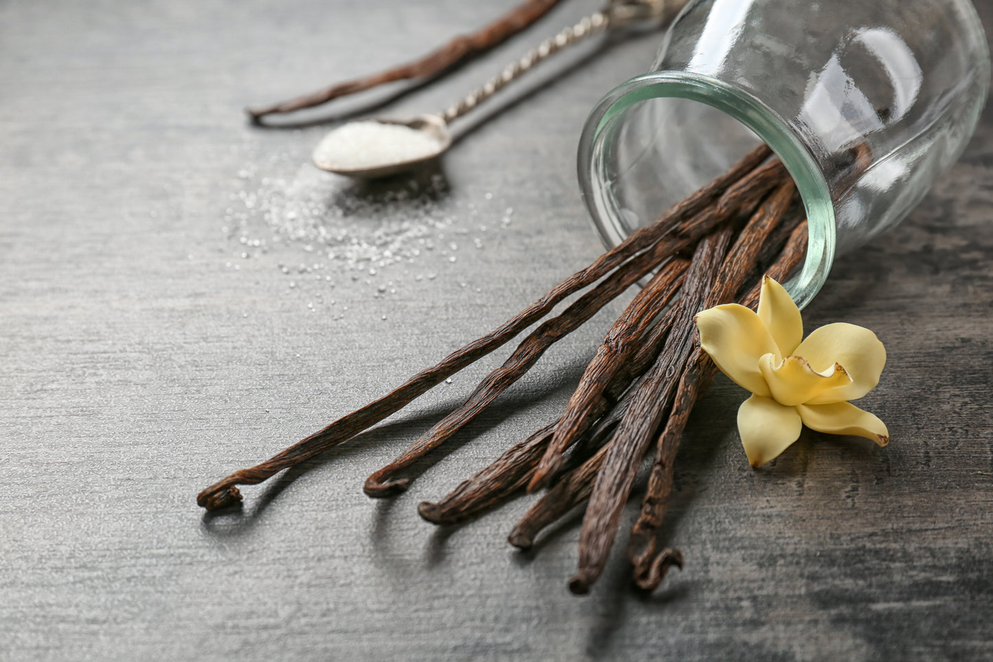 Vanilla Moroccan Goat's Milk Soap
